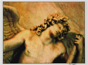 Image description is not available for 2018.122